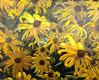"Up Close and Personal, Rudbeckia" by Joanne Unruh