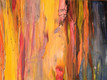 "Rainbow Eucalyptus" by Joanne Unruh