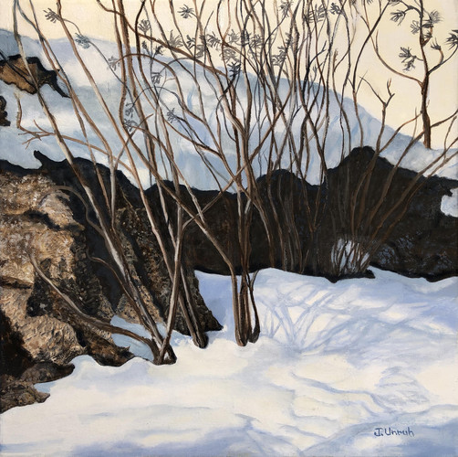 "Naramata Ridge: Winter Shadows" by Joanne Unruh