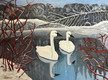 "Out of The Blue: Snow Geese" by Joanne Unruh