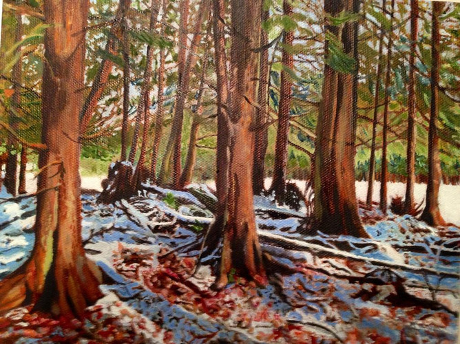 "A  Light Dusting at Capilano" by Joanne Unruh