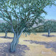 "Olives Trees Of Provence" by Joanne Unruh