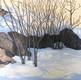 "Winter Shadows" by Joanne Unruh
