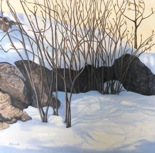 "Winter Shadows" by Joanne Unruh
