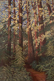 "Into The Woods" by Joanne Unruh