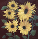 "Sunflower Society" by Joanne Unruh