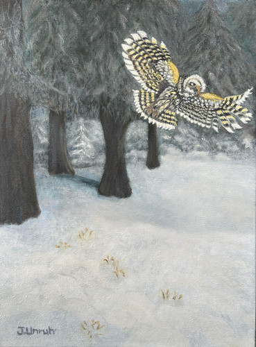 "Owl In The Clearing" by Joanne Unruh