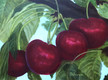 "Okanagan Cherries" by Joanne Unruh