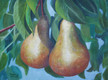 "Golden Pears" by Joanne Unruh