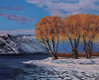 "Okanagan Winter Willows" by Joanne Unruh
