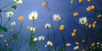 ""Happiness"" by Joanne Unruh