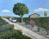 "Chateauneuf du Pape Vineyard" by Joanne Unruh