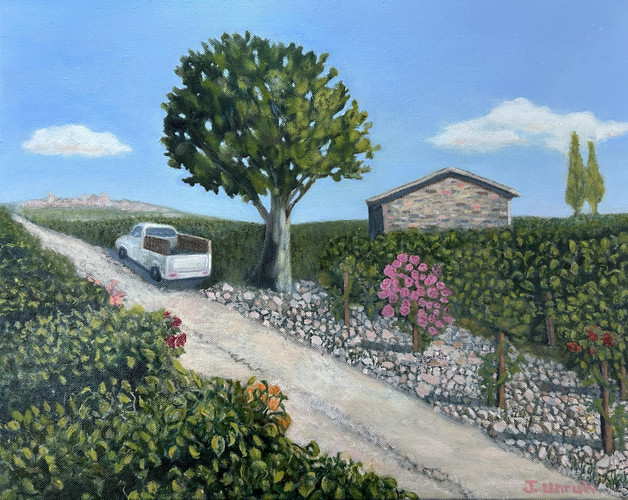 "Chateauneuf du Pape Vineyard" by Joanne Unruh